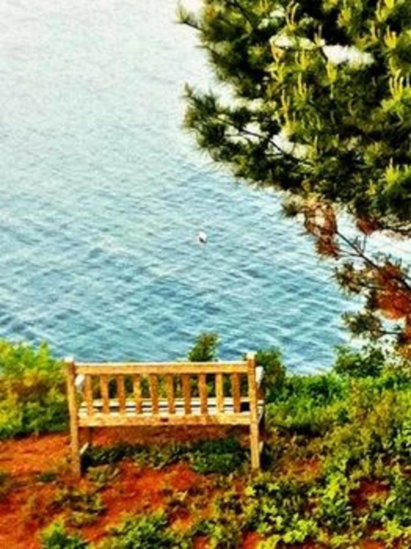 Grey Havens Inn Georgetown Bagian luar foto